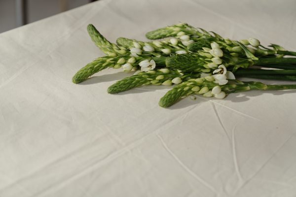 Rustic Moss & Fern Table Runner