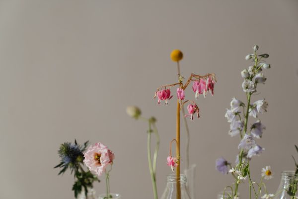 Vibrant Poppy & Sunflower Basket